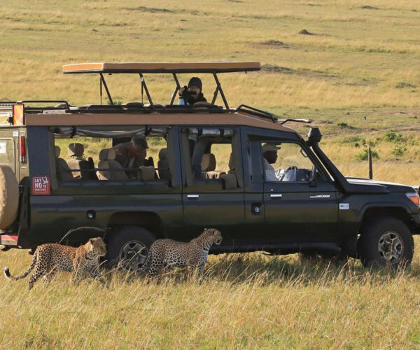 6-Day Masai Mara, Lake Naivasha & Amboseli Big 5 Safari