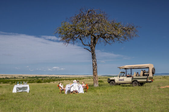 7-Day Masai Mara and Amboseli Luxury Fly-in Big 5 Safari